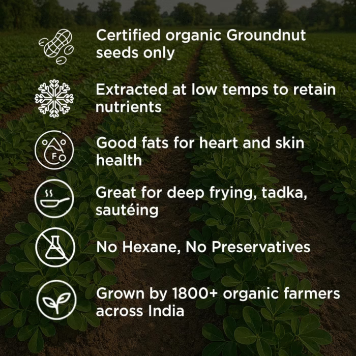 Cold Pressed Groundnut Oil